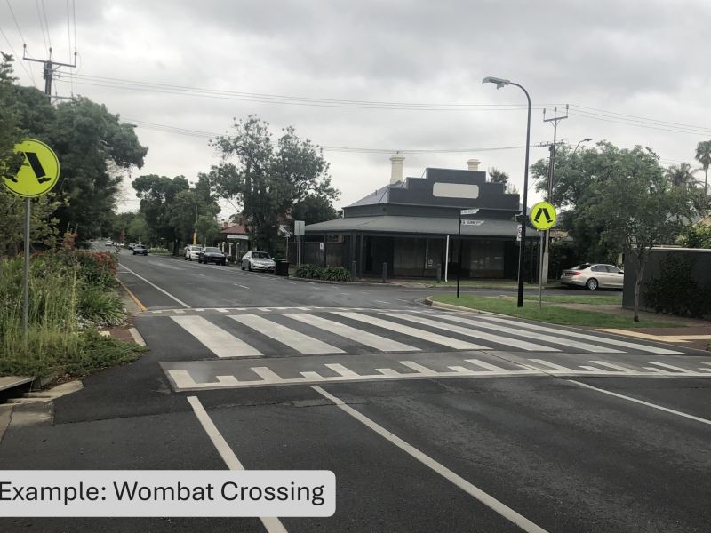 Example of wombat crossing